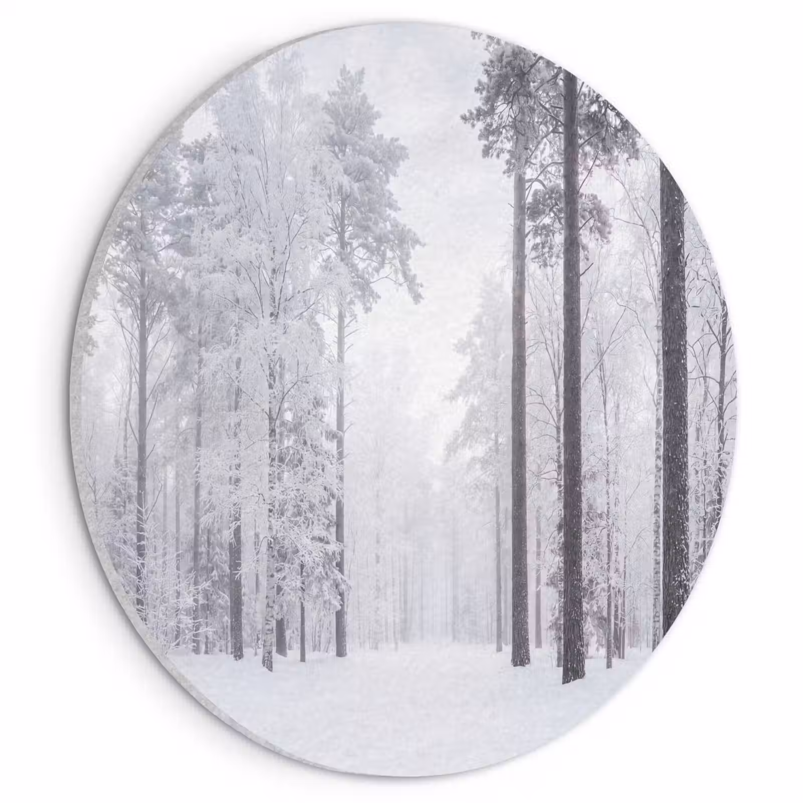 Akoestisch schilderij rond - Bos - Sneeuw - Pad - Winter - Stilte — 1