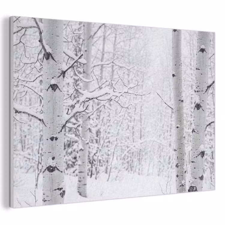 Akoestisch schilderij - Berkenbomen - Sneeuw - Winter - Bos - Wit — 1