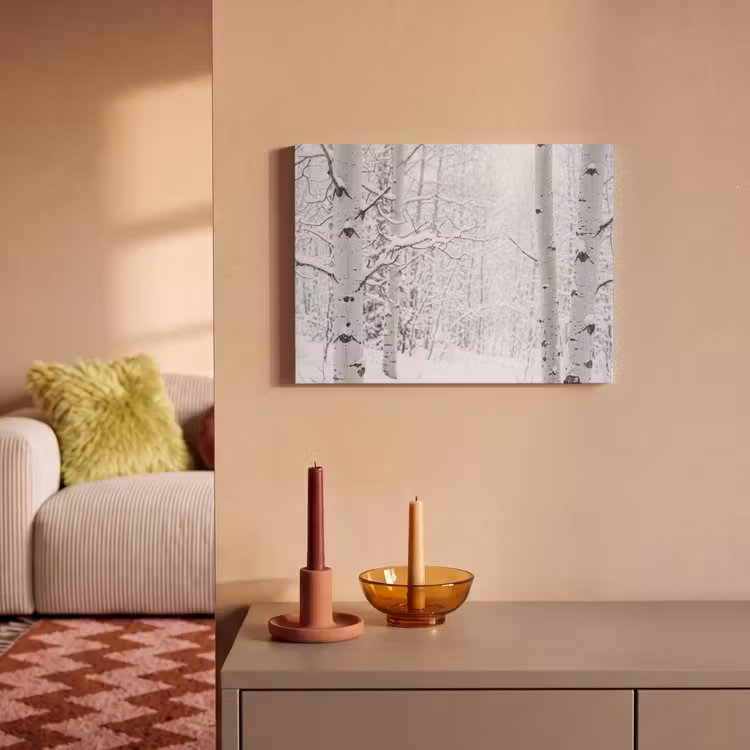 Akoestisch schilderij - Berkenbomen - Sneeuw - Winter - Bos - Wit — 2