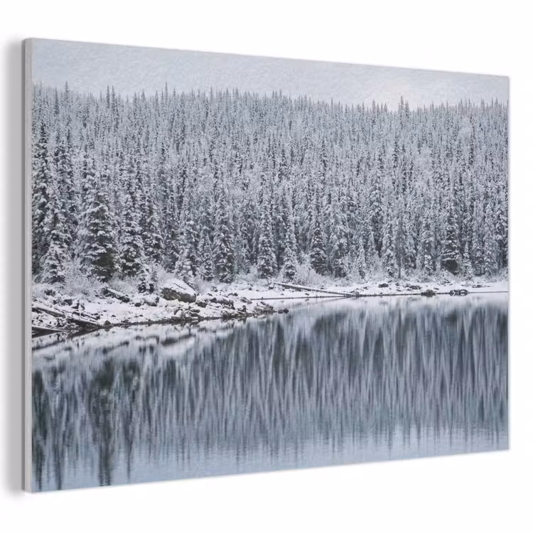 Akoestisch schilderij - Bos - Reflectie - Meer - Winter - Serene — 1
