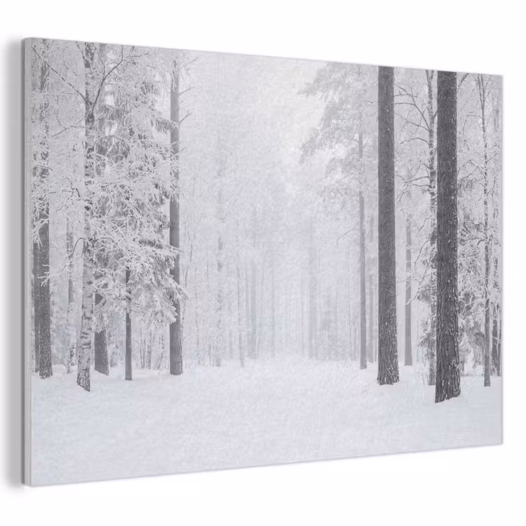 Akoestisch schilderij - Bos - Sneeuw - Pad - Winter - Stilte — 1