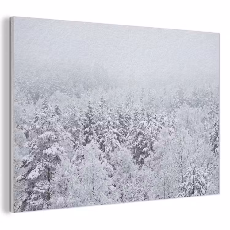 Akoestisch schilderij - Bos - Sneeuw - Winter - Natuur - Wit — 1