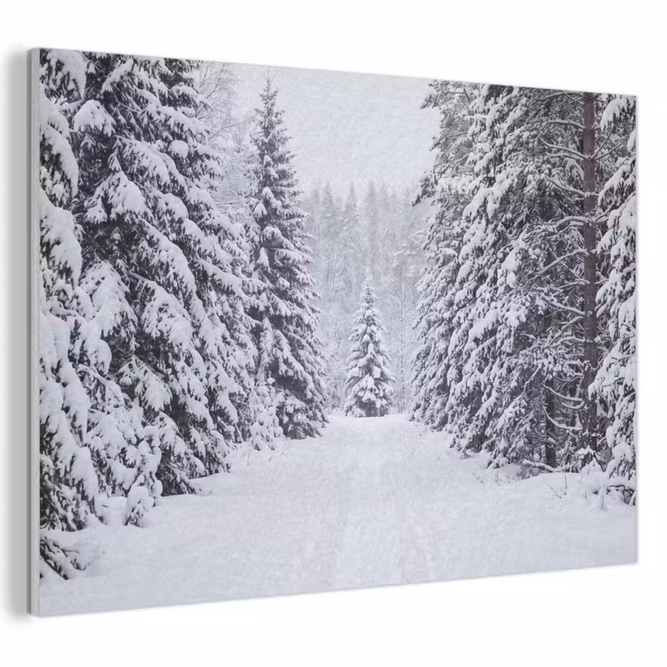 Akoestisch schilderij - Bos - Winter - Sneeuw - Pad - Natuur — 1