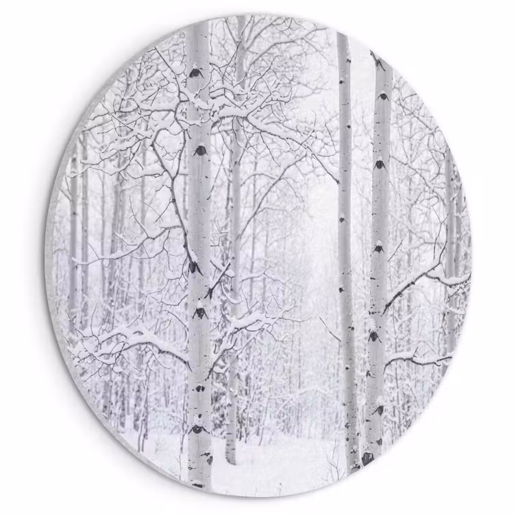 Akoestisch schilderij rond - Berkenbomen - Sneeuw - Winter - Bos - Wit — 1