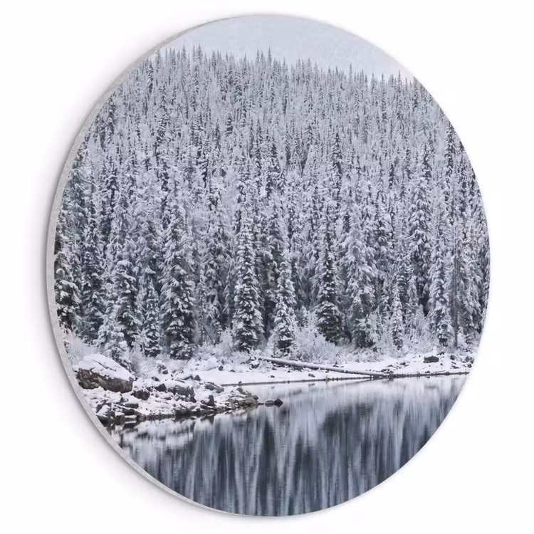 Akoestisch schilderij rond - Bos - Reflectie - Meer - Winter - Serene — 1