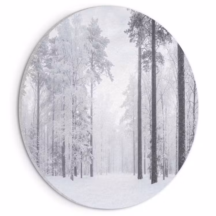 Akoestisch schilderij rond - Bos - Sneeuw - Pad - Winter - Stilte — 1
