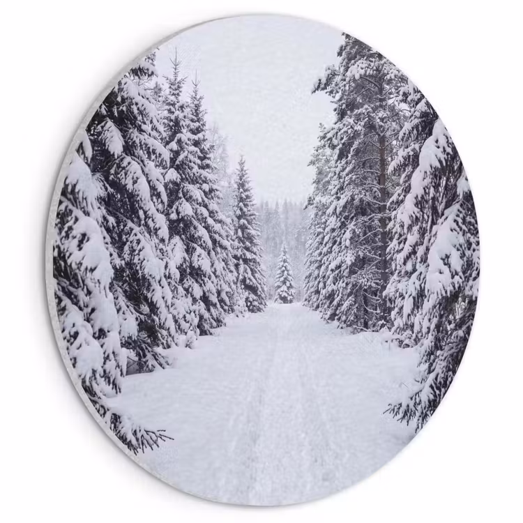Akoestisch schilderij rond - Bos - Winter - Sneeuw - Pad - Natuur — 1