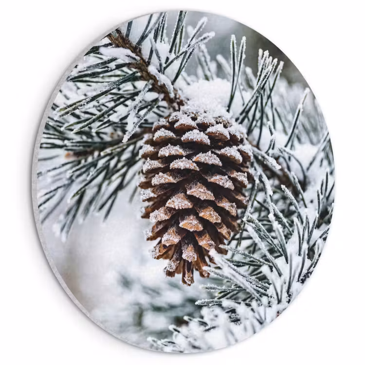 Akoestisch schilderij rond - Dennenappel - Tak - Sneeuw - Winter - Sfeervol — 1