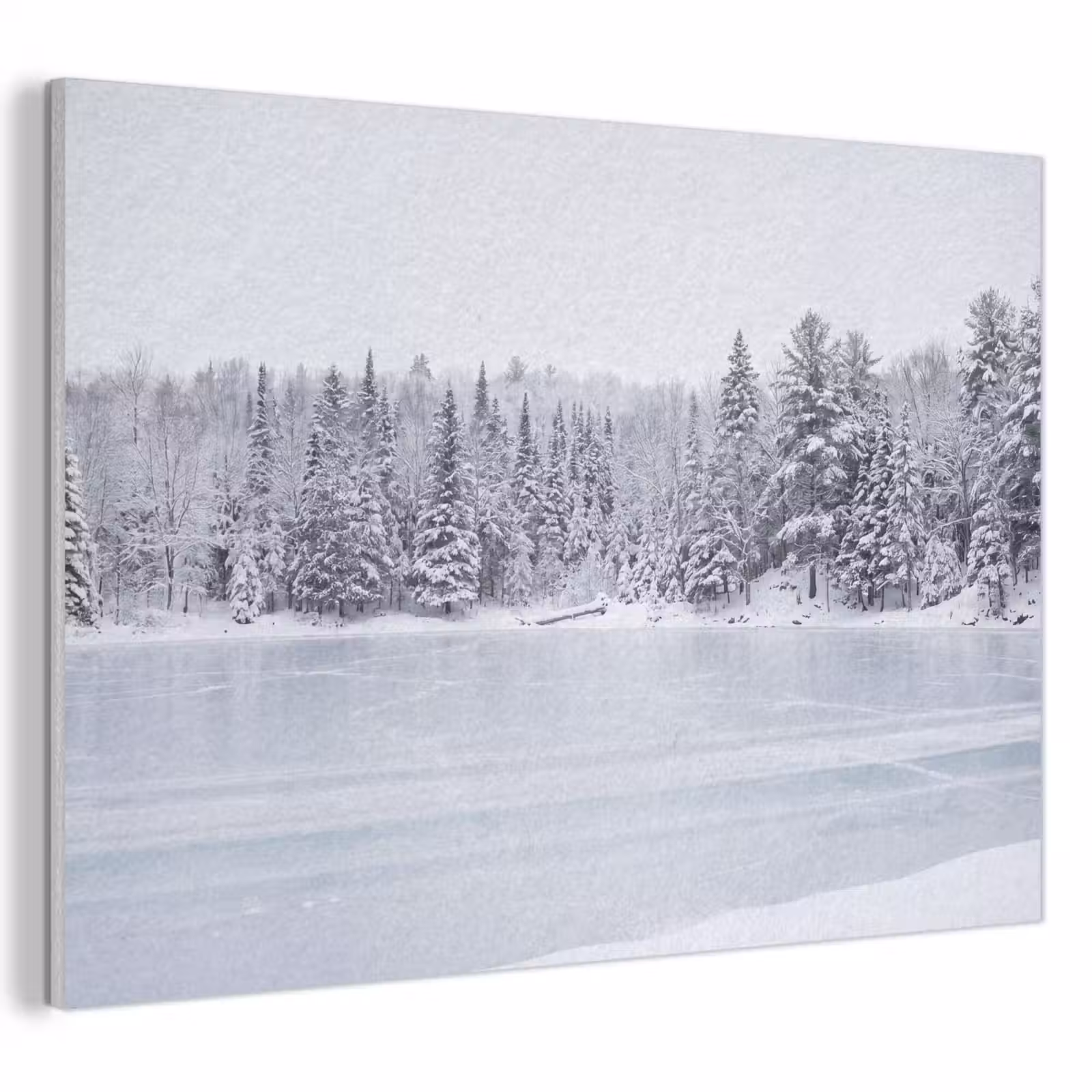 Akoestisch schilderij - Meer - Dennen - IJs - Winter - Rustgevend — 1
