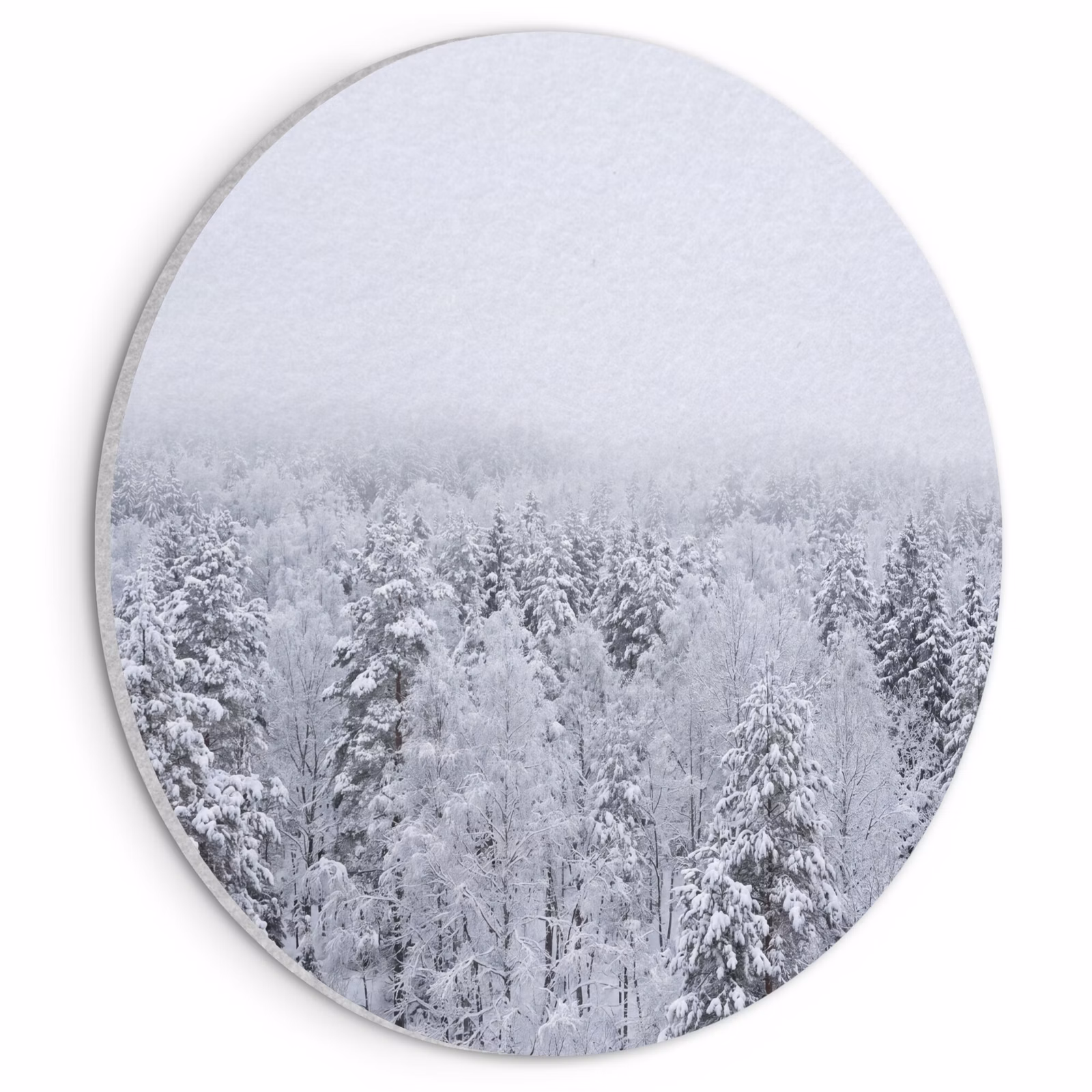 Akoestisch schilderij rond - Bos - Sneeuw - Winter - Natuur - Wit — 1