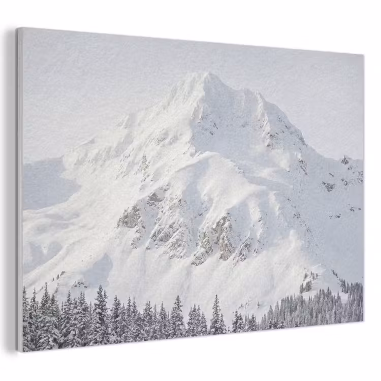 Akoestisch schilderij - Berg - Sneeuw - Winter - Natuur - Wit — 1