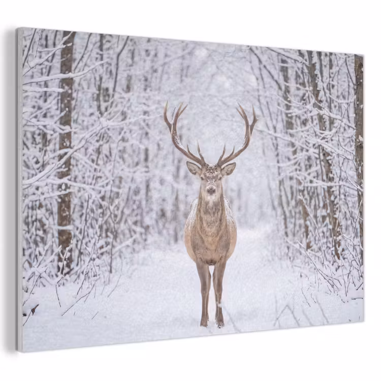 Akoestisch schilderij - Hert - Winter - Bos - Natuur - Wit — 1