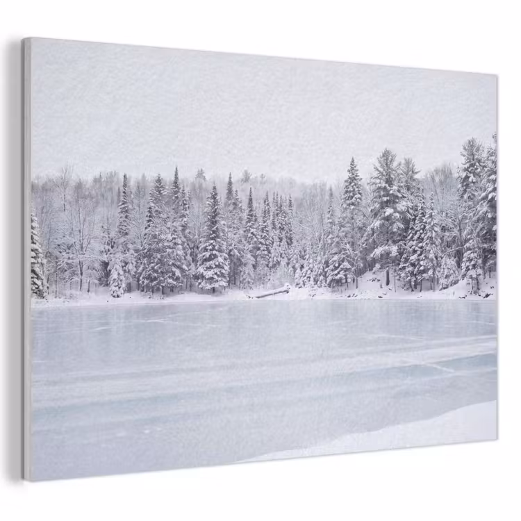 Akoestisch schilderij - Meer - Dennen - IJs - Winter - Rustgevend — 1