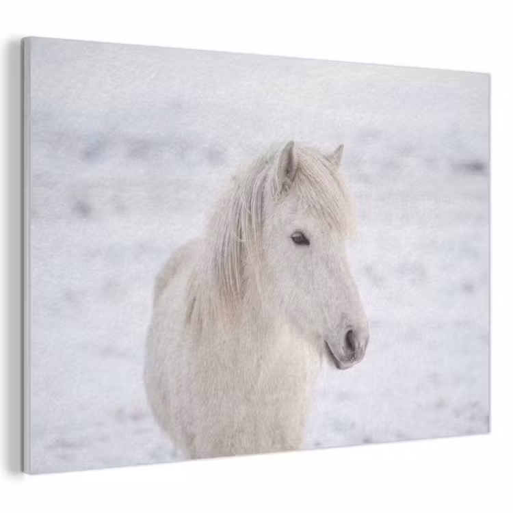 Akoestisch schilderij - Paard - Kop - Winter - Dieren - Wit — 1
