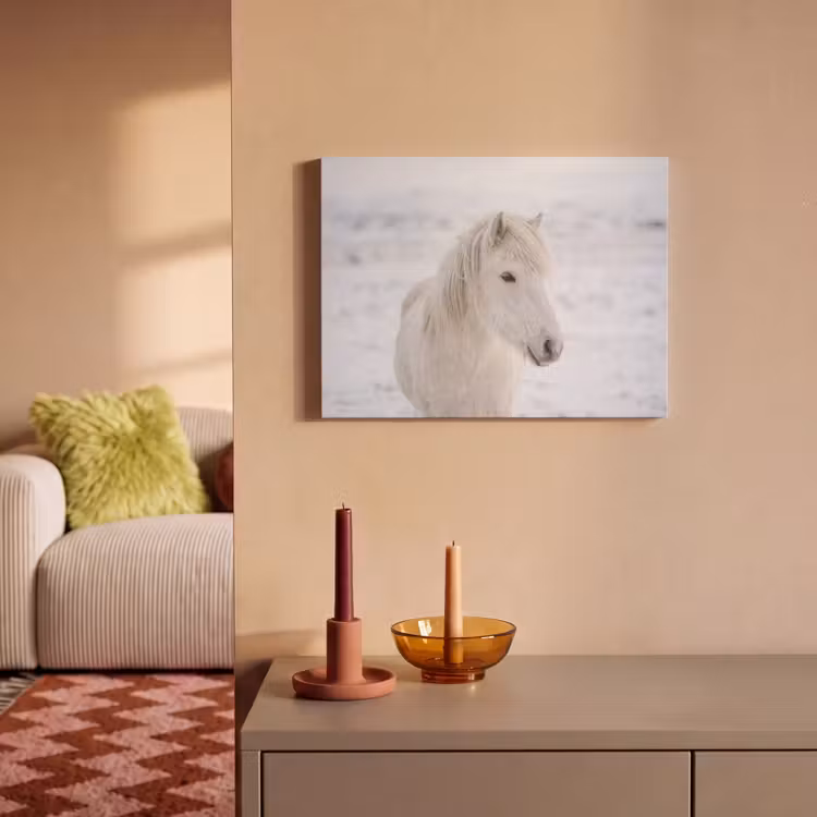 Akoestisch schilderij - Paard - Kop - Winter - Dieren - Wit — 2