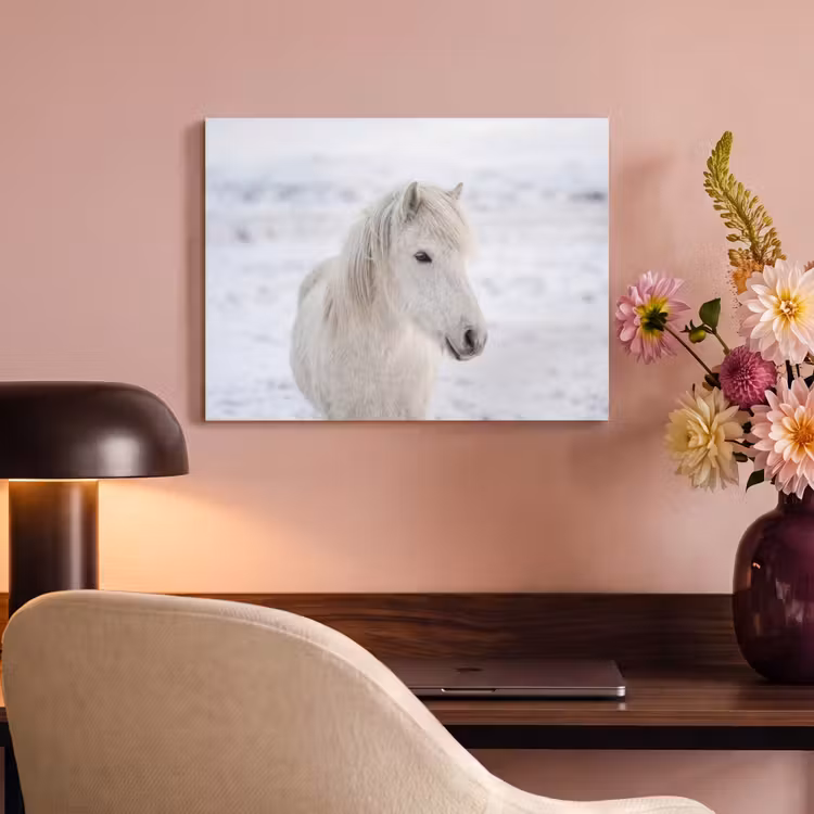 Akoestisch schilderij - Paard - Kop - Winter - Dieren - Wit — 4