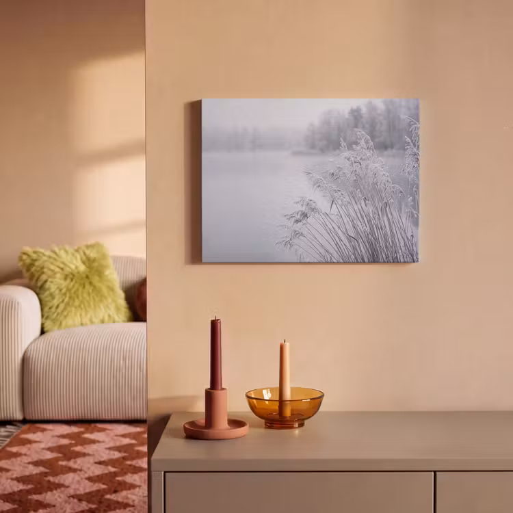 Akoestisch schilderij - Riet - Bevroren - Winter - Natuur — 2