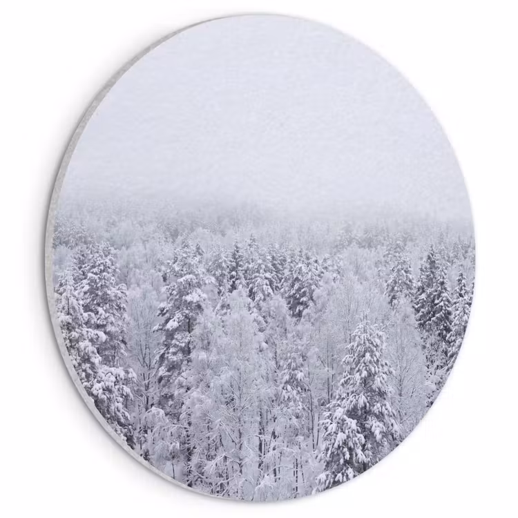 Akoestisch schilderij rond - Bos - Sneeuw - Winter - Natuur - Wit — 1