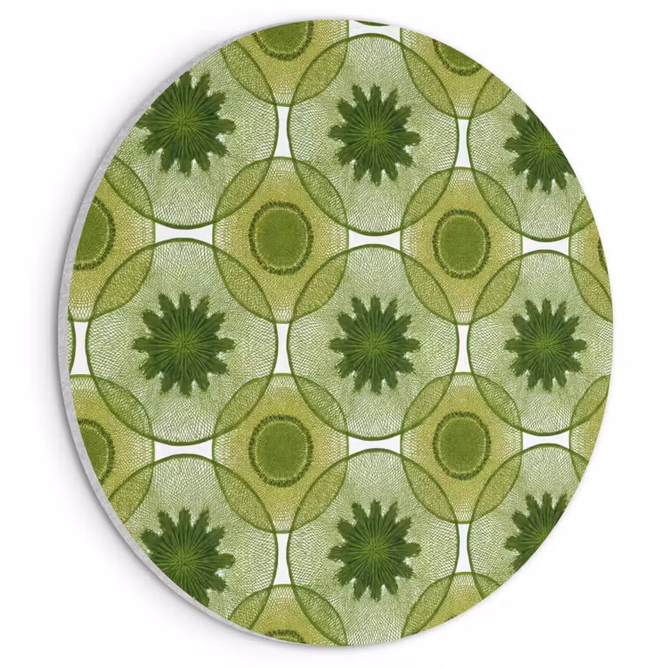 Akoestisch schilderij rond - Cirkels - Patroon - Groen — 1