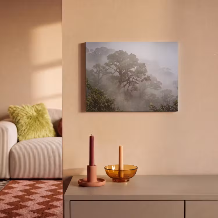 Akoestisch schilderij - Boom - Mistig - Bos - Groen - Natuur — 2