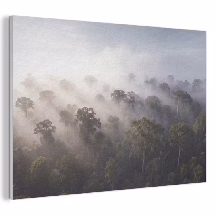 Akoestisch schilderij - Bos - Mist - Natuur - Groen — 1