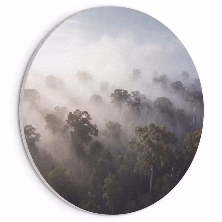 Akoestisch schilderij rond - Bos - Mist - Natuur - Groen — 1