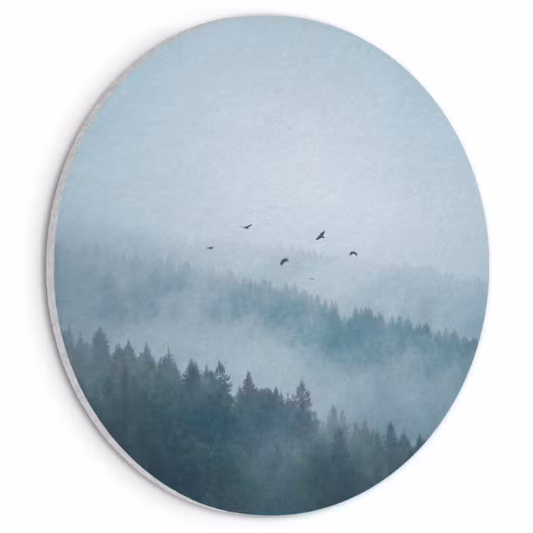 Akoestisch schilderij rond - Bos - Mist - Vogels - Natuur - Groen — 1