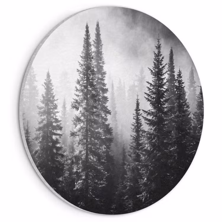 Akoestisch schilderij rond - Bos - Mist - Winter - Monochroom - Natuur — 1