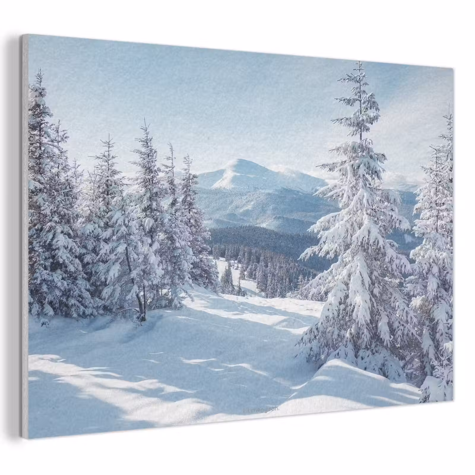 Akoestisch schilderij - Sneeuw - Winter - Landschap - Bergen — 1