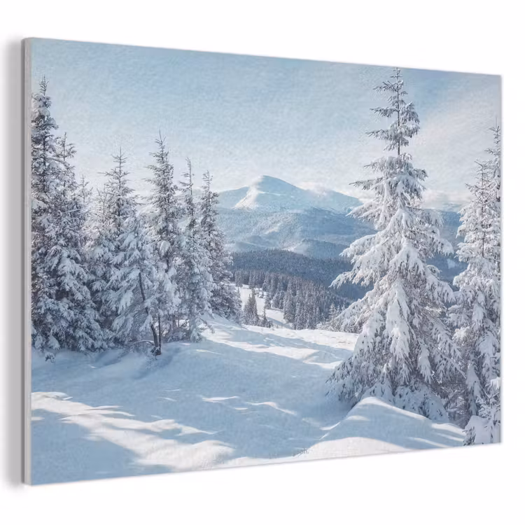 Akoestisch schilderij - Sneeuw - Winter - Landschap - Bergen — 1