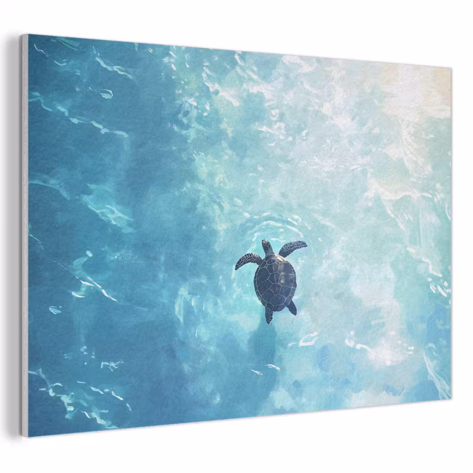 Akoestisch schilderij - Schildpad - Zee - Blauw - Schittering — 1