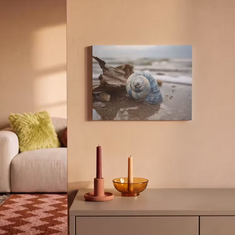 Akoestisch schilderij - Schelp - Strand - Blauw - Zee — 2
