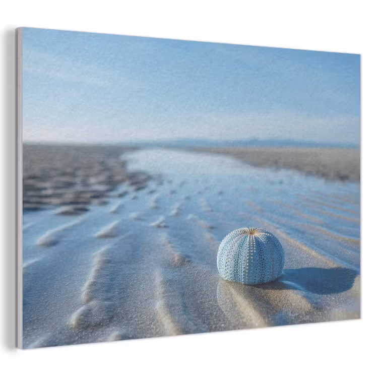 Akoestisch schilderij - Strand - Schild - Water - Blauw — 1