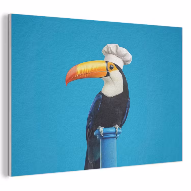 Akoestisch schilderij - Tucan - Sokkel - Vogel - Koksmuts — 1