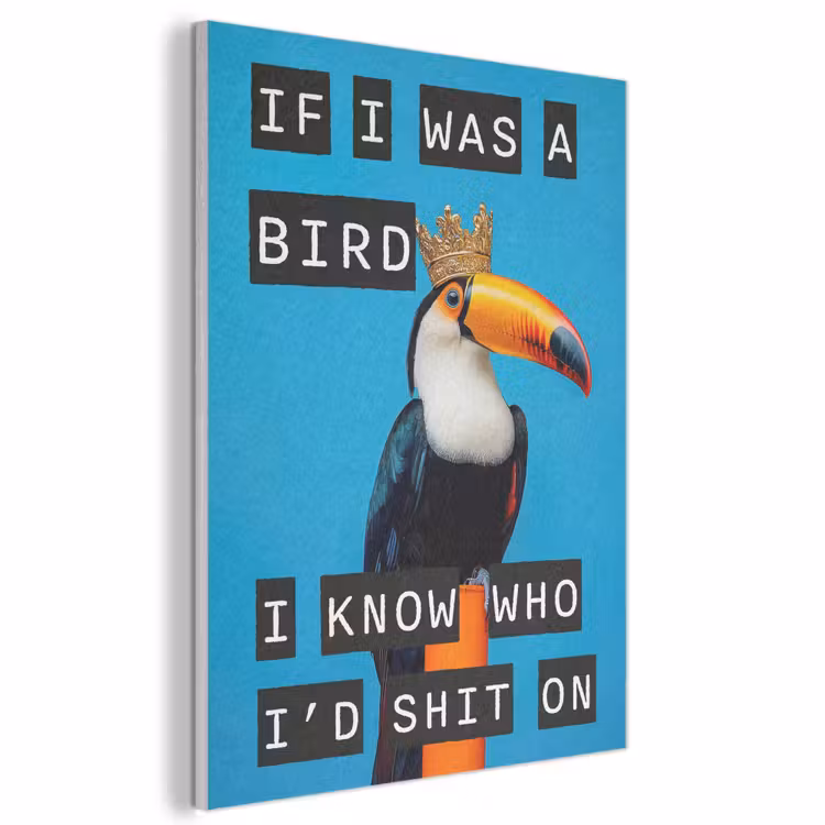 Akoestisch schilderij - Vogel - Toekan - Blauw - Quotes — 1