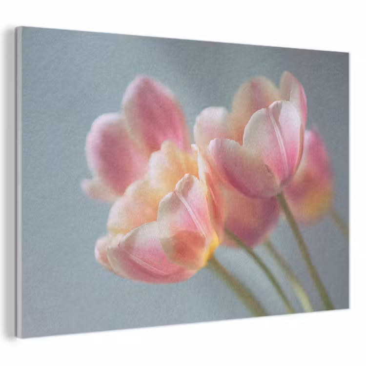 Akoestisch schilderij - Tulpen - Roze - Stelen — 1