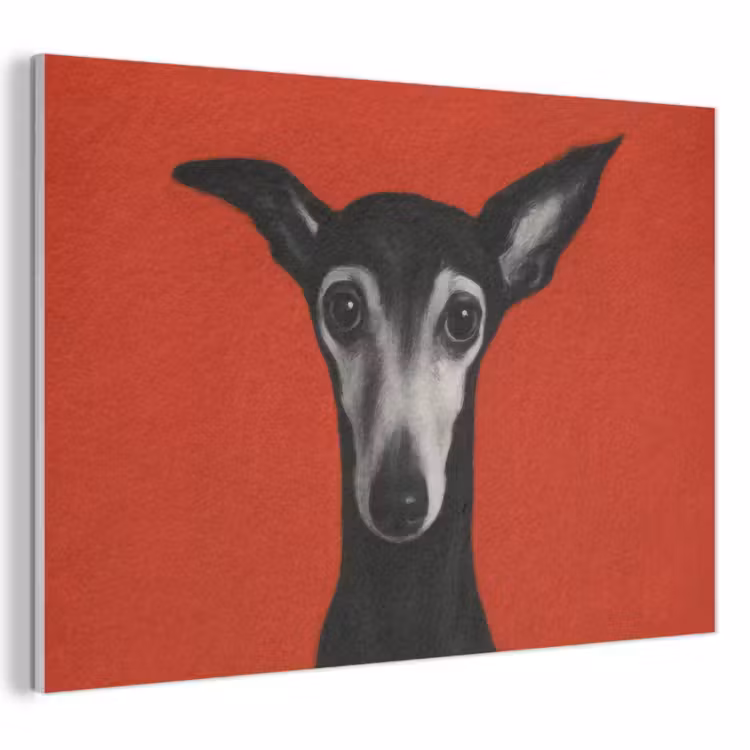 Akoestisch schilderij - Windhond - Minimalistisch - Rood — 1
