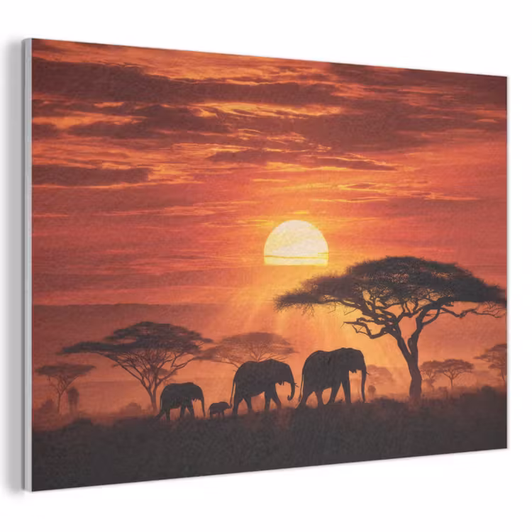Akoestisch schilderij - Savanne - Olifanten - Zonsondergang — 1