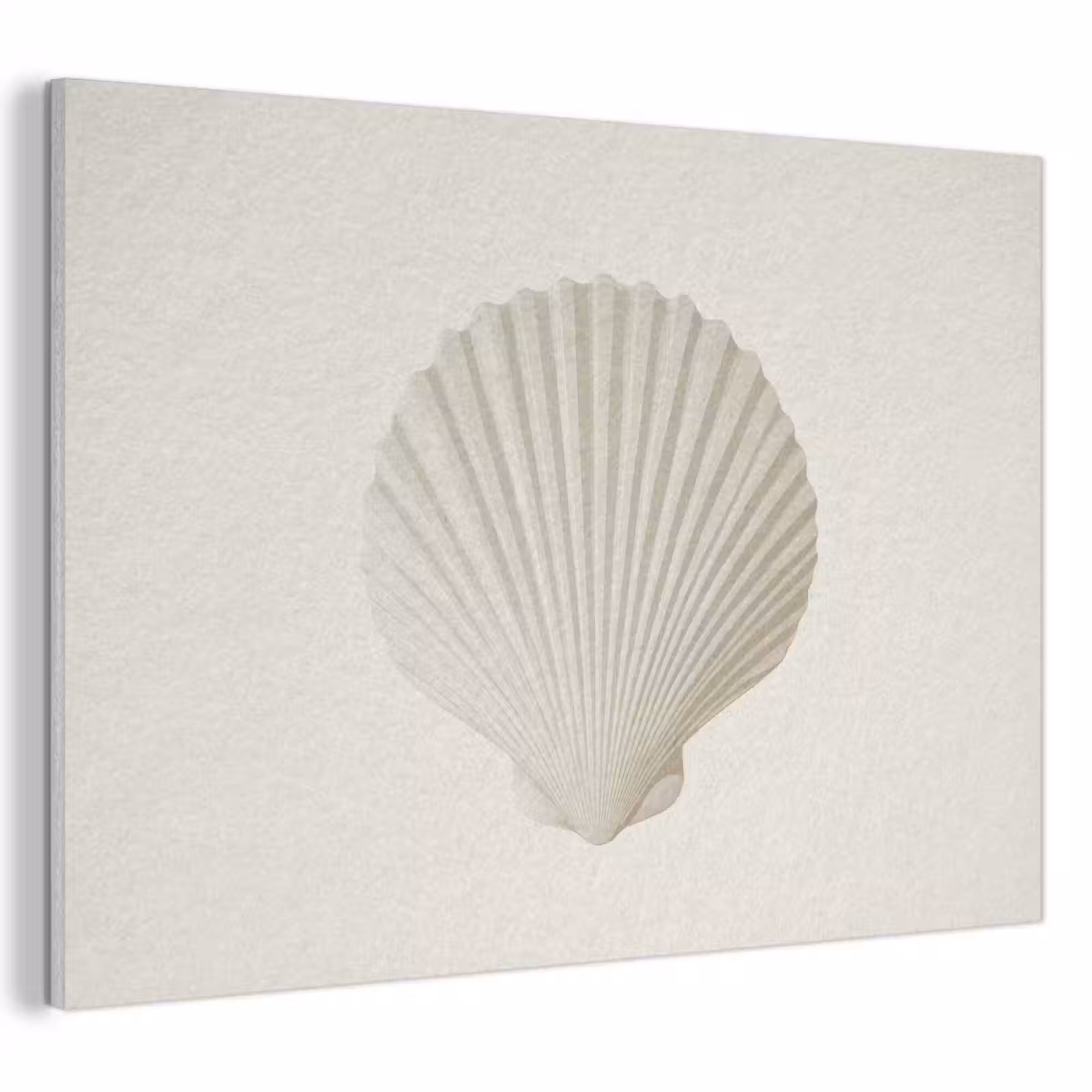 Akoestisch schilderij - Schelp - Minimalistisch - Wit — 1