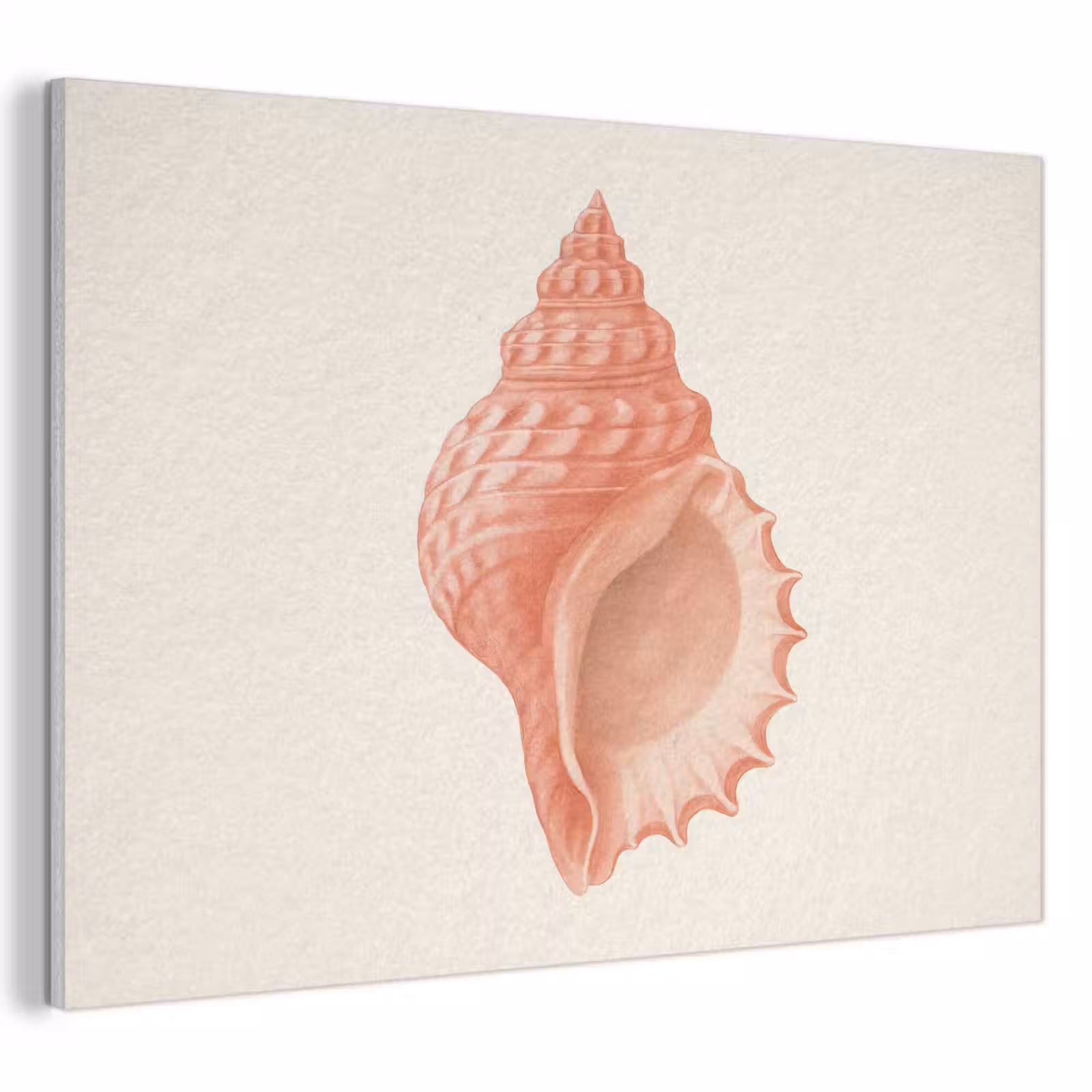 Akoestisch schilderij - Schelp - Roze - Structuur — 1