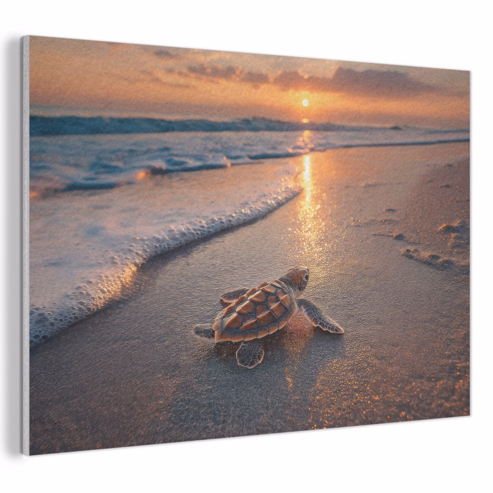 Akoestisch schilderij - Schildpad - strand - Zonsondergang — 1