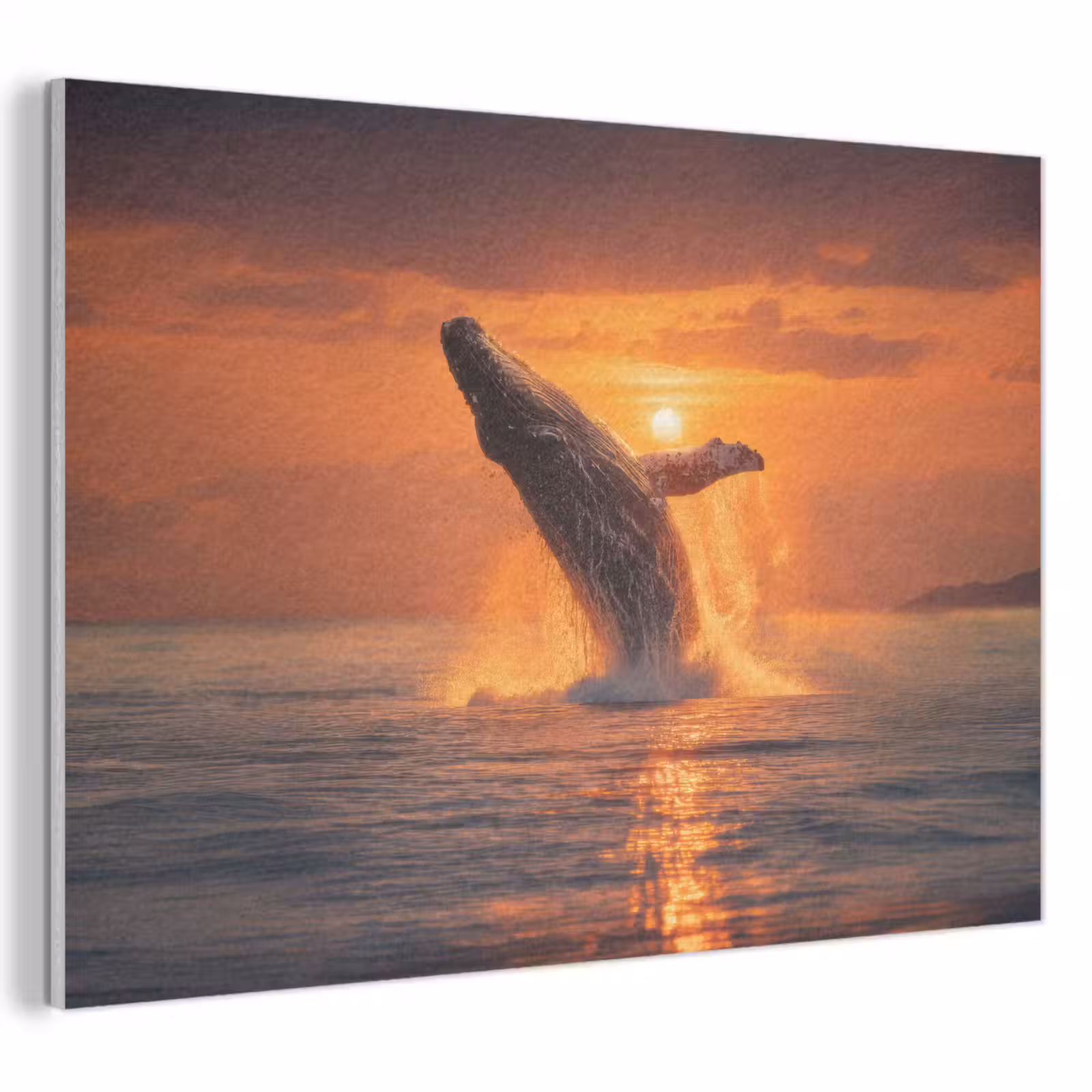 Akoestisch schilderij - Walvis - Zon - Zee — 1
