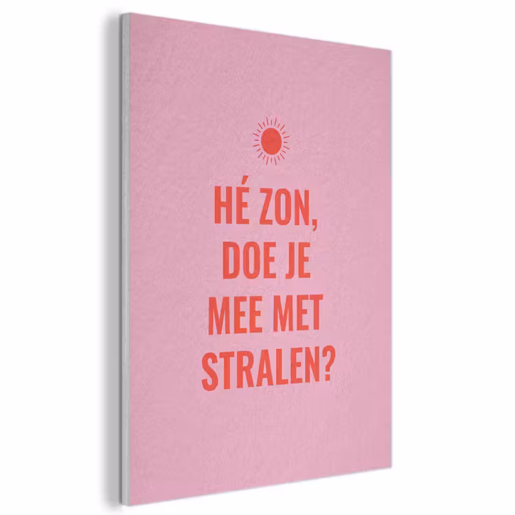 Akoestisch schilderij - Roze - Zon - Quote — 1