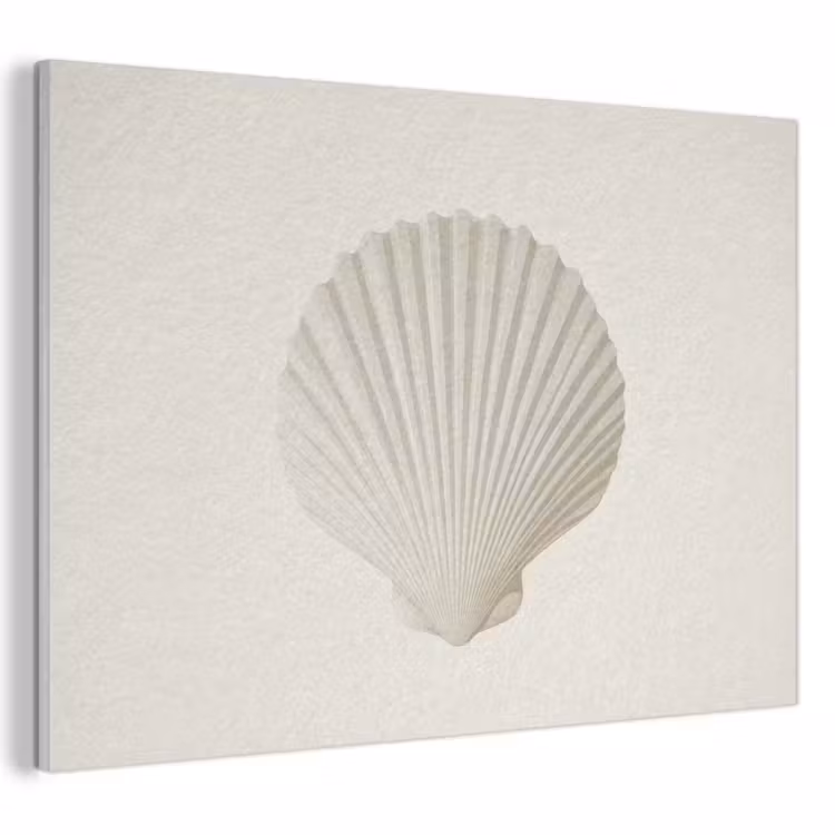 Akoestisch schilderij - Schelp - Minimalistisch - Wit — 1