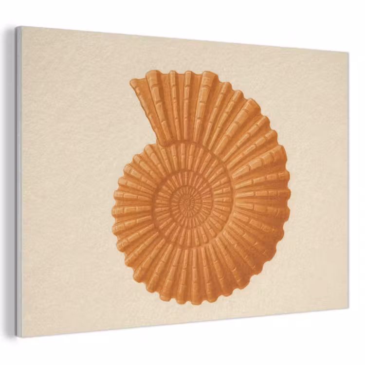 Akoestisch schilderij - Schelp - Oranje - Ribbels — 1