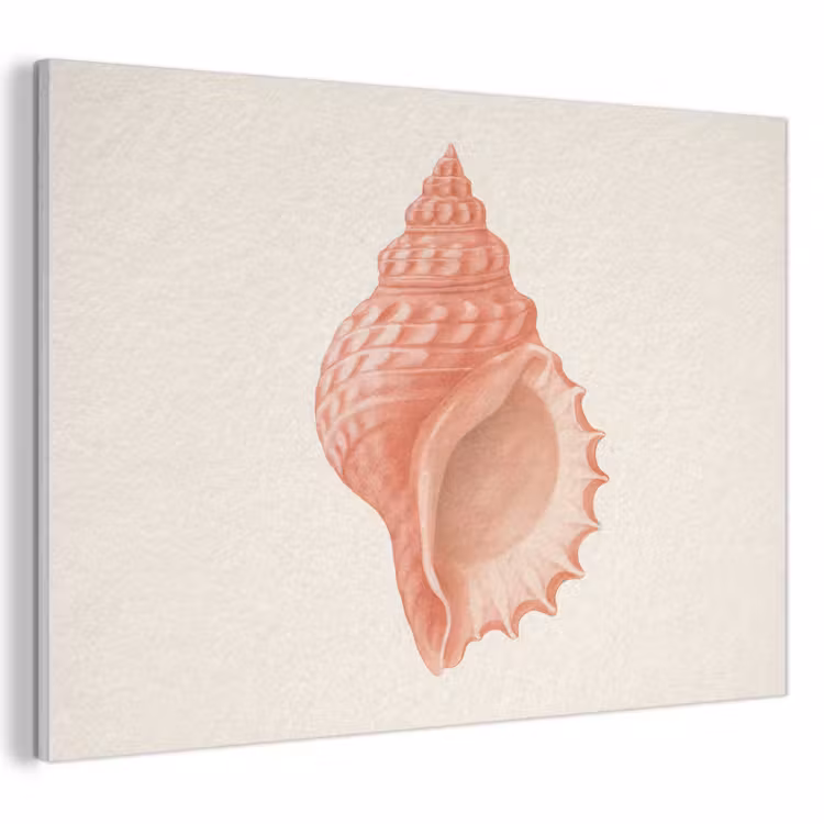 Akoestisch schilderij - Schelp - Roze - Structuur — 1
