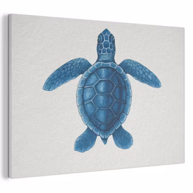 Akoestisch schilderij - Schildpad - Blauw - Schild — 1