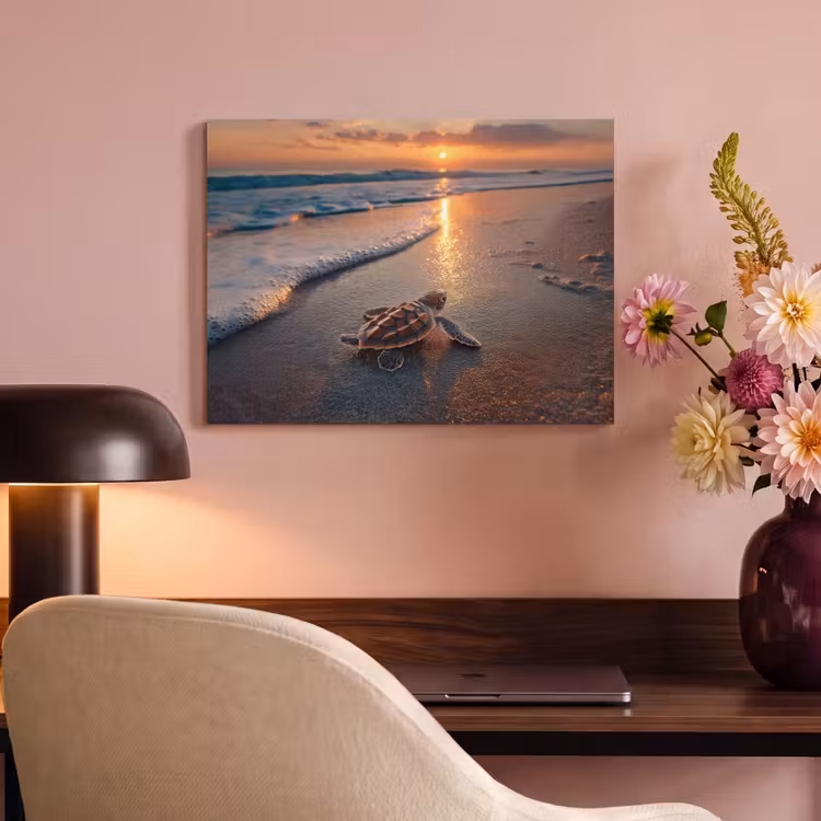 Akoestisch schilderij - Schildpad - strand - Zonsondergang — 4