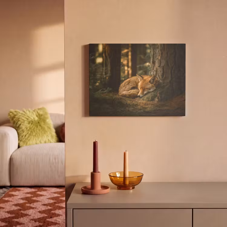 Akoestisch schilderij - Vos - Bos - Slapen — 2