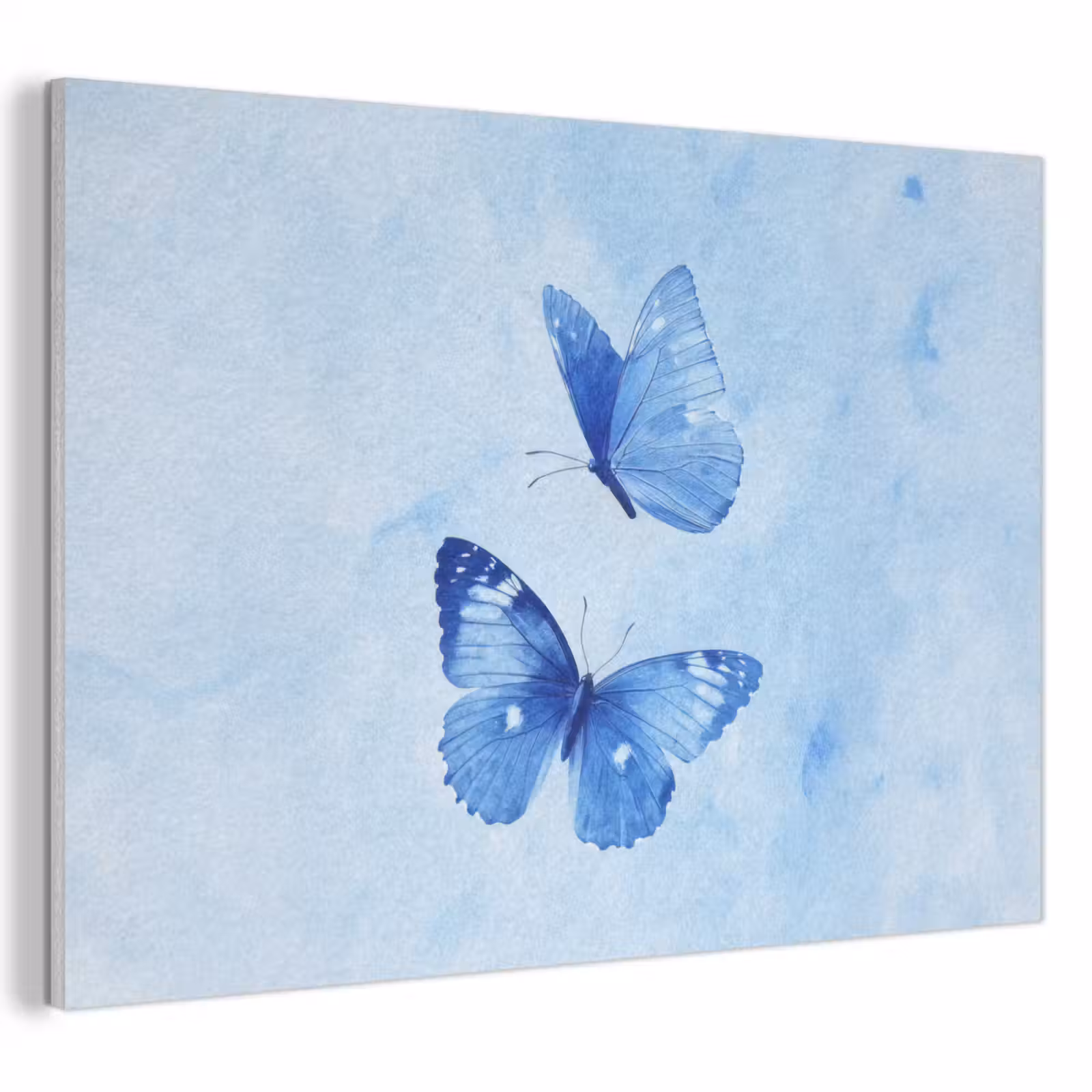 Akoestisch schilderij - Vlinders - Sierlijk - Blauw — 1